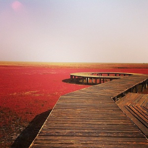 La Playa Roja en China, un lugar mágico