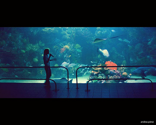 acuario de veracruz en mexico