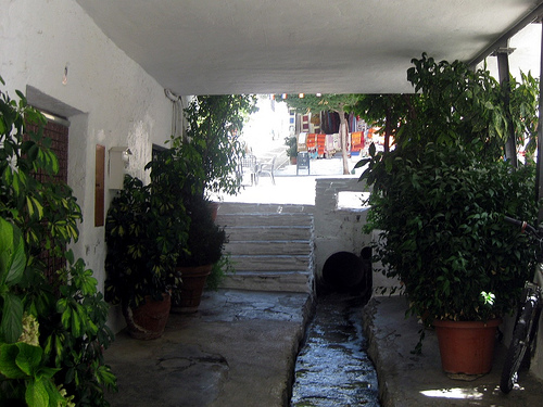 pampaneria en granada