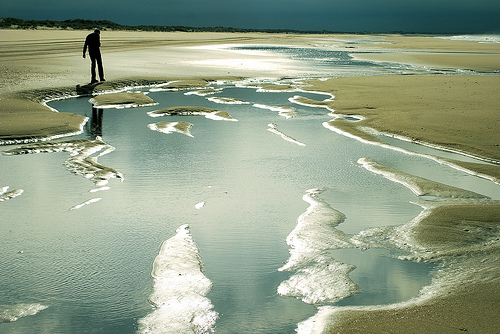 playa de doñana