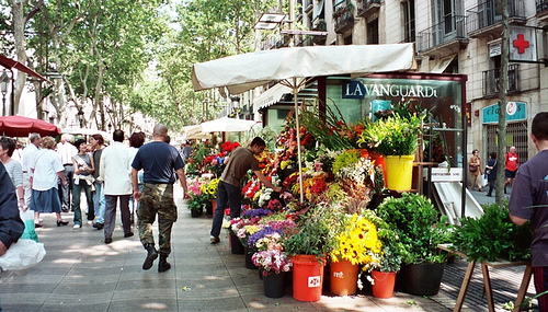 rambla de las flores