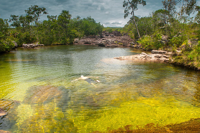 caño cristales en colombia