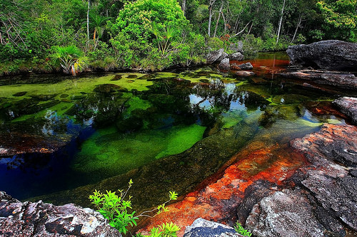 Caño Cristales en Colombia, el río que se escapó del paraíso