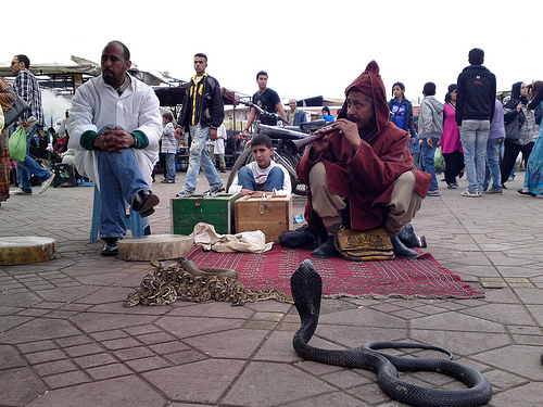 encantador de serpientes