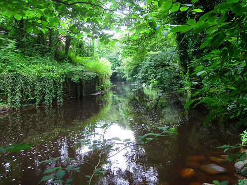 waters of leith edimburgo
