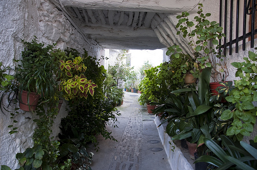 calle de orgiva