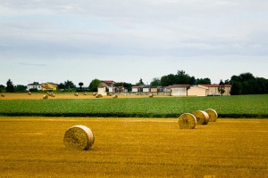 Emilia Romagna en Italia, una región que te va a sorprender
