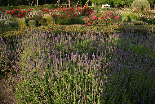 parque cervantes barcelona