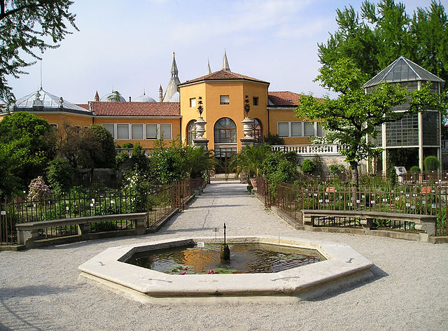 El Jardín Botánico de Padua, el más antiguo del mundo