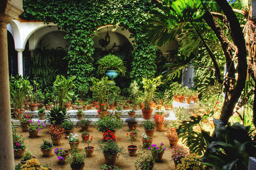 patio sevillano