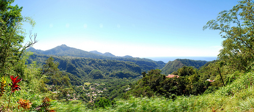 Dominica 1