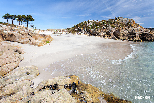 cala islas cies