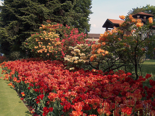 jardin villa taranto en italia 4