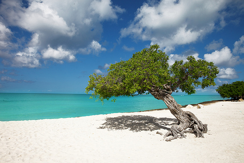 Los mayores atractivos de la isla de Aruba