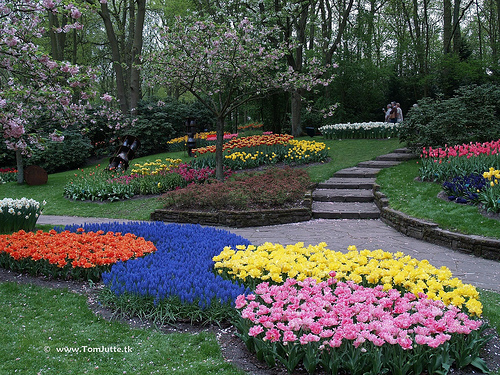 Keukenhof 2