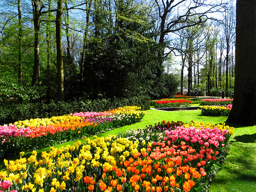 Keukenhof 5