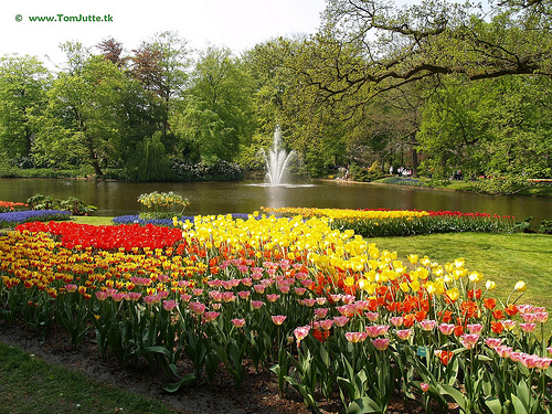 El jardín Keukenhof en Holanda, una obra de arte floral de las más bellas de Europa