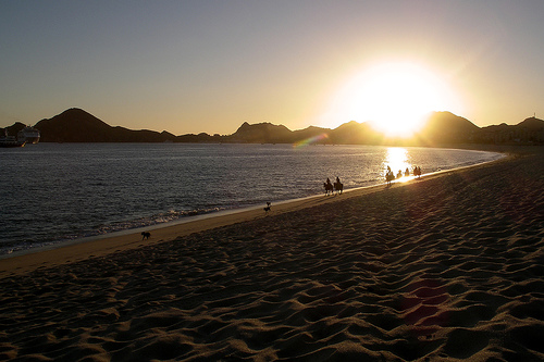Los Cabos 6