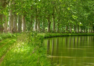 Recorrido por el colosal Canal del Mediodía, la obra del sueño de un rey