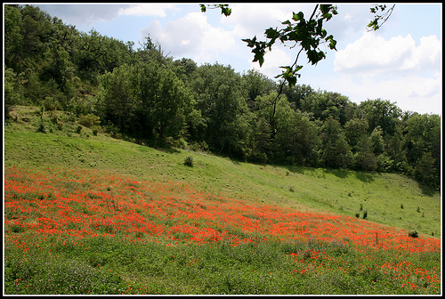 esparron de verdon 3