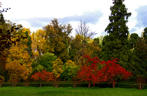 jardines palacio de aranjuez 3