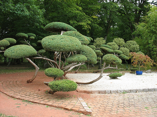 parque floral de la fuente 2