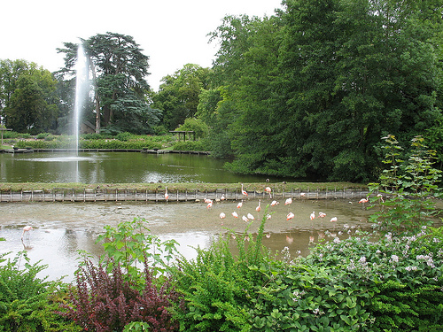 parque floral de la fuente 3