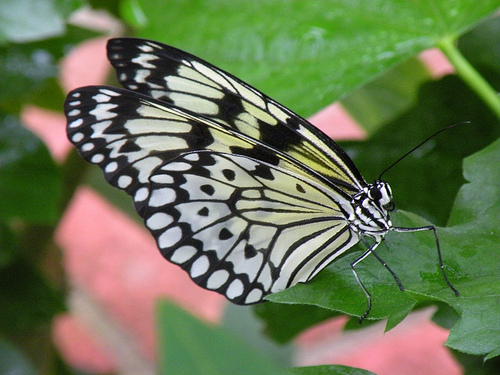 parque floral de la fuente 4