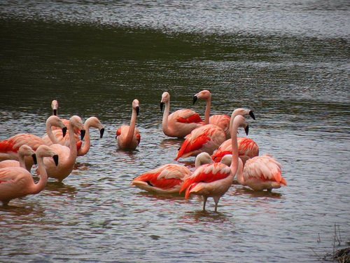parque floral de la fuente 5