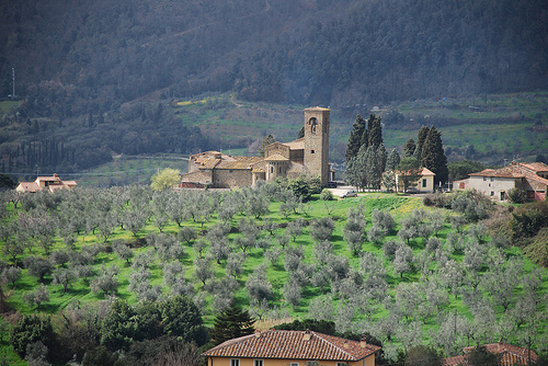 villa palaciega medicis 2