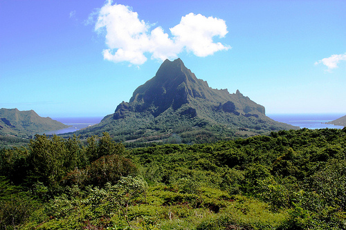 Moorea 6