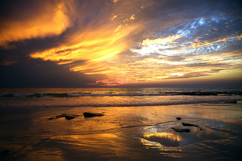 Playas de Australia 5