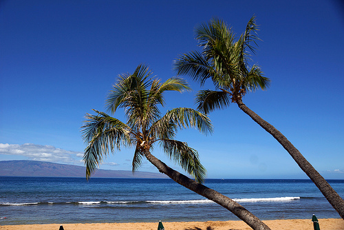 La fascinante isla de Maui en Hawái