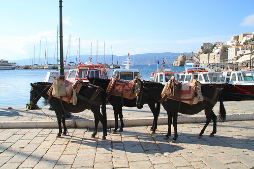 isla griega de hydra 3