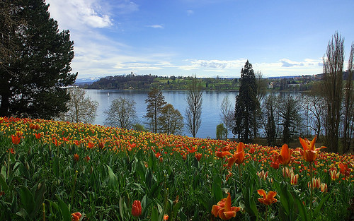 mainau 4