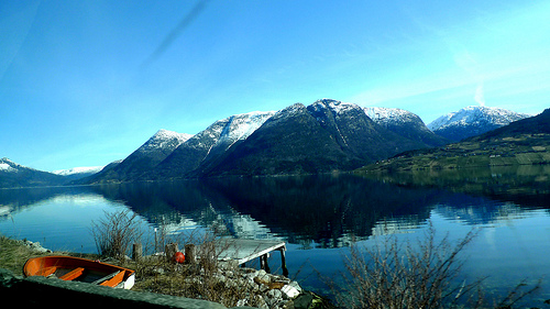 Bergen 5
