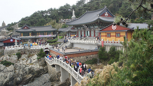 Busan 5