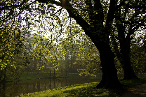 Groningen 5