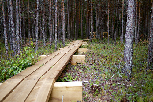 Jurmala 5