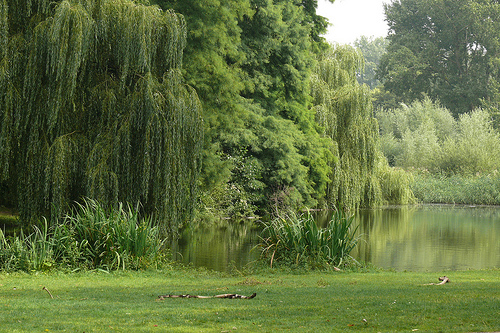 Vondelpark 3