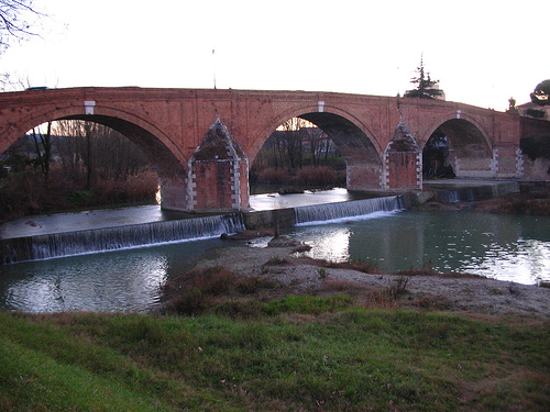 cesena 5