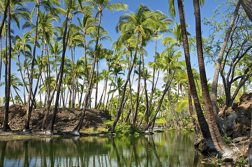 isla grande hawai 3