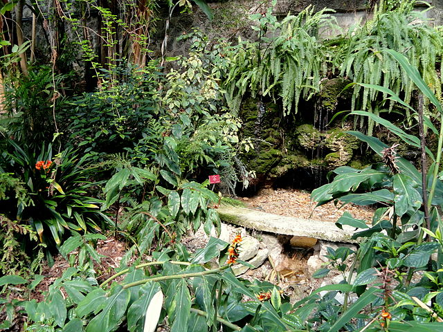 jardin botanico exotico menton 2