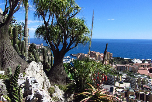 Los más bellos y espectaculares jardines del Principado de Mónaco