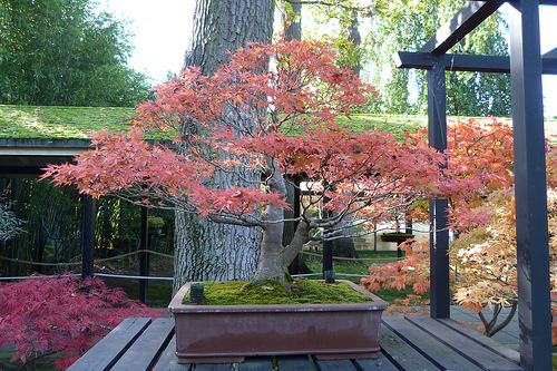 parque floral de paris 4