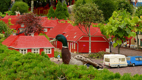Legoland 5