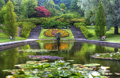 Acompáñanos en nuestra visita al Jardín Botánico de Gotemburgo en Suecia