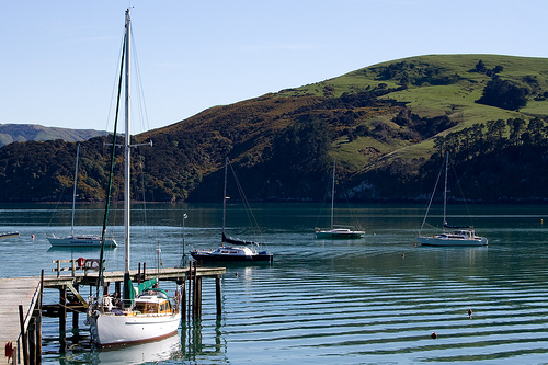 Akaroa 5