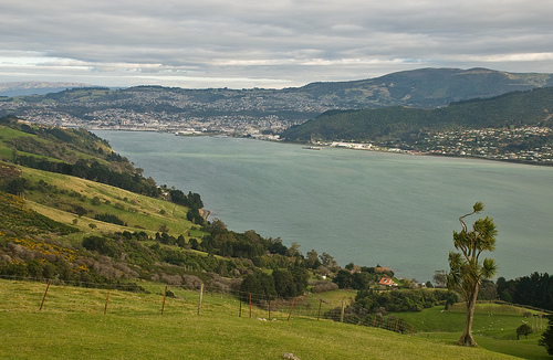 Dunedin 2