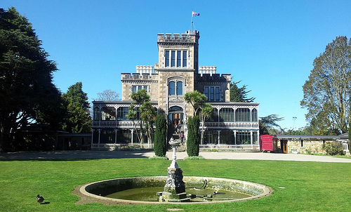 Dunedin 6